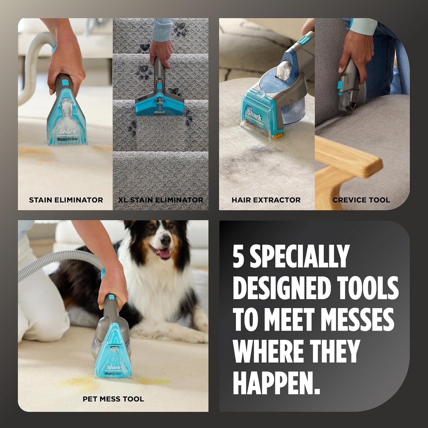 Shark Carpetxpert Hairpro | Upright Carpet, Area Rug & Upholstery Cleaner | Stainstriker Handheld Tough Stain Remover & Onboard Self Clean | Pet Hair Pickup & Odor Removal | 5 Tools | Navy | EX304